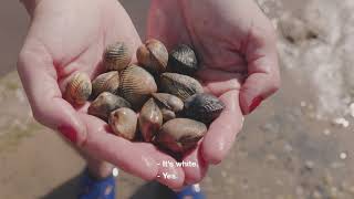 Les Mollusques  Portugal Gourmand  S1E5 [upl. by Imeaj]