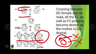 Extrachromosomal inheritance [upl. by Thisbee]