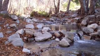 Camping San Gabriel Mountains Coldbrook Campground [upl. by Assiran59]