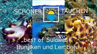 „best of Sulawesi“ Lembeh Strait und Bunaken  Tauchen in Manado Indonesien [upl. by Nottus54]