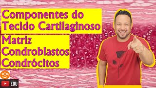 Componentes do Tecido Cartilaginoso  Matriz Condroblastos e Condrócitos  Histologia Animal [upl. by Minabe]