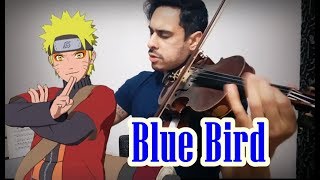 Naruto  Blue Bird by Douglas Mendes Violin Cover [upl. by Lansing449]