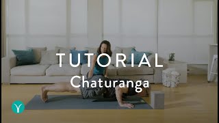 How to do Chaturanga Properly  YOGA TUTORIAL [upl. by Pence433]