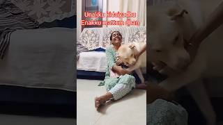 🔥நான் தான் first நீ next💥 shorts shortsviral funny viralvideo ytshorts trending doglovers [upl. by Llednew]