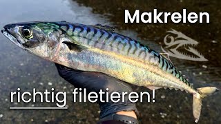 MAKRELEN richtig filetieren und zubereiten  Catch amp Cook [upl. by Petulia]