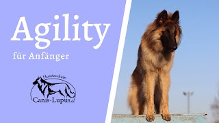 Agility quot Futterautomaten quot Was hast du für Bestätigungsmetoden [upl. by Attenauq415]