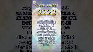 Angel number 2222  Angel Numbers [upl. by Meehyr50]