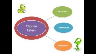 Choline Esters [upl. by Anyr]