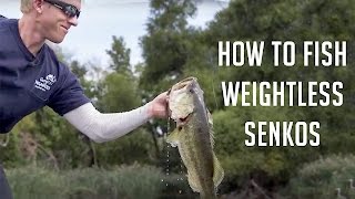 How to Fish Weightless Senkos Shallow for Bass [upl. by Annawal]