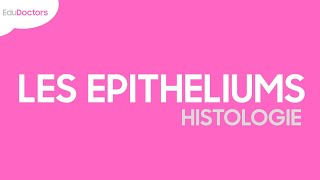 Les épithéliums  Histologie [upl. by Dugan]