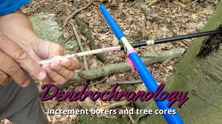 Dendrochronology How to use an increment borer [upl. by Schuh]