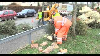 LActu  Les sapins sont à recycler [upl. by Ahsele875]