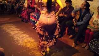 Flamenco Dance by Spanish Gypsies Part 1 [upl. by Manson]