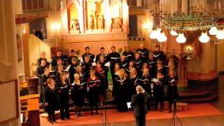 När det lider mot jul  Umeå Studentchoir [upl. by Iaoh]