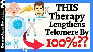 THIS Therapy Lengthens Telomere By 100  Reported By A 83 Year Old Doctor [upl. by Buttaro]