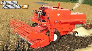 Żniwa Bizonem  Farming Simulator 19  6 [upl. by Zysk]