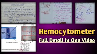 Hemocytometer  hemocytometer rbc count  calculation in neubaur chamber [upl. by Marthena286]