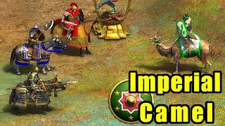 Imperial Camel Rider VS All kind of Cavalry  Age of Empires 2 [upl. by Delano995]