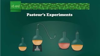 Pasteurs experiments Microbiology biology pasteur microbiology louispasteur [upl. by Halsey]