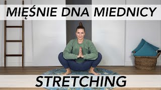 FIT FIVE  MIĘŚNIE DNA MIEDNICY  TRENING  ćwiczenia na mięśnie dna miednicy [upl. by Rae]