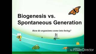 Spontaneous generation vs biogenesis How do organisms come into being [upl. by Donohue391]