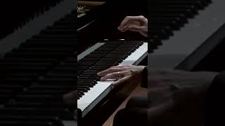 CHOPIN Ballade No 1 110 [upl. by Liamsi]