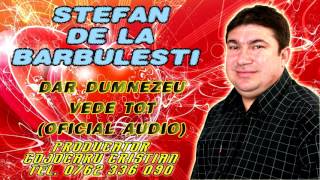 Stefan de la Barbulesti  Dar Dumnezeu vede tot Oficial Audio [upl. by Nessej346]