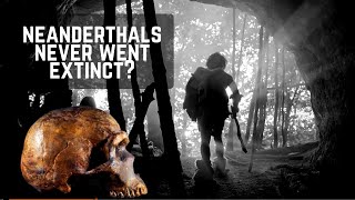 How Neanderthals Vanished Scientists Surprising New Discovery [upl. by Lavena]