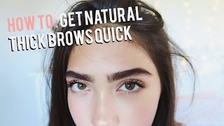 How To Grow Eyebrows FAST Thick amp Natural [upl. by Aubrey]