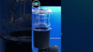 Aquarium Surface Skimmer  Aquarium Internal Filter  Black Hole Skimmers [upl. by Senskell865]