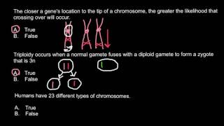 Chromosomes Crossing over and Triploidy [upl. by Einiar]