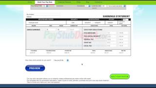 pay stub generator [upl. by Einavoj682]