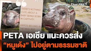 PETA เอเชีย แนะควรส่ง quotหมูเด้งquot ไปอยู่ตามธรรมชาติ  ข่าวเที่ยง  28 กย 67 [upl. by Yarb]