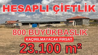 23 DÖNÜM ARAZİ İÇİ FİYAT VİDEODA  800 BÜYÜK BAŞLIK ÇİFTLİK  FIRSAT ARAZİ keşfet viparsa turkey [upl. by Chu106]