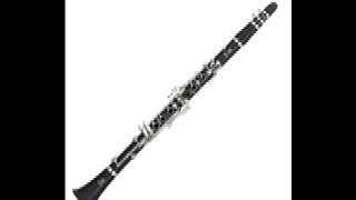 TritschTratsch Polka by Strauss  Trinity College Exam Piece Clarinet Grade 4 [upl. by Aket]