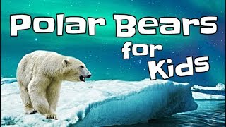 Polar Bears for Kids [upl. by Leckie462]