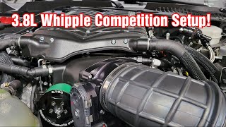 We Installed A 38L Whipple Supercharger On Our 2019 Mustang GT [upl. by Aguayo140]