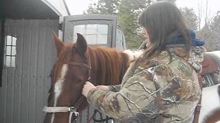 How to Bridle your horse using a hackamore [upl. by Anabel333]