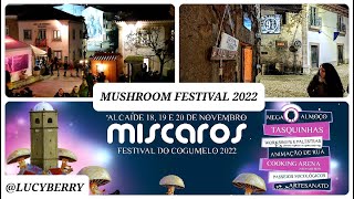 Miscaros Mushroom festival 2022  Alcaide Portugal [upl. by Kcireddor]