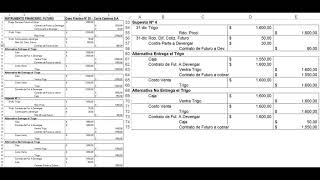 Contabilidad Superior  Caso 21  Contabilidad de Instrumentos Derivados Futuros [upl. by Anitnegra580]