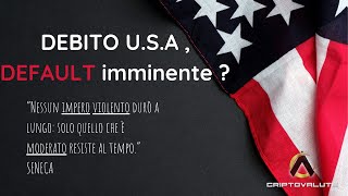 DEBITO USA  DEFAULT imminente [upl. by Leopoldeen149]