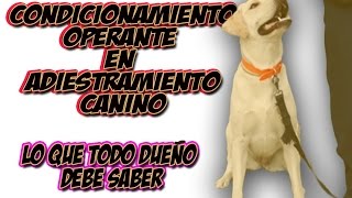 Condicionamiento Operante  Las Bases del Adiestramiento canino [upl. by Yesnil]