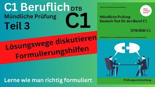 Lösungswege diskutieren  Deutsch Beruf C1 Teil 3  Formulierungshilfen telc  Mündliche Prüfung [upl. by Marpet738]