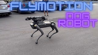 BOSTON DYNAMICS SPOT  FLYMOTION  DOG ROBOT [upl. by Edina]