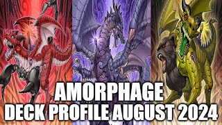 AMORPHAGE DECK PROFILE AUGUST 2024 YUGIOH [upl. by Nerte]