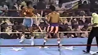 Salvador Sanchez vs Wilfredo Gomez 19810821 14 [upl. by Nomi]