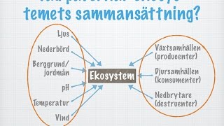 Ekosystem gammal [upl. by Attennek]