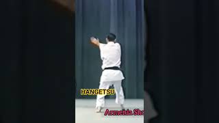 Asai Tetsuhiko Hangetsu karate martialarts Kata [upl. by Raynard]