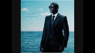 Akon  Freedom  Against The Grain Feat Ray Lavender [upl. by Yorke407]