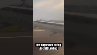 How Airplane Flaps work  Flaps  Slats  Flight Landing  IndiGo  airbus A320  shorts short [upl. by Enrak]